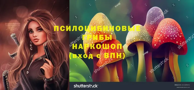 Псилоцибиновые грибы Magic Shrooms  Улан-Удэ 